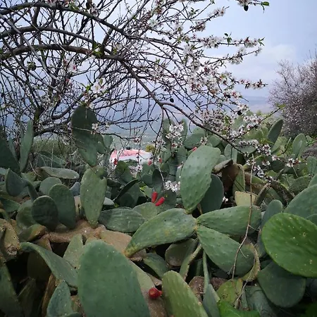 Holiday home Casa Opuntia Pappaygiannades